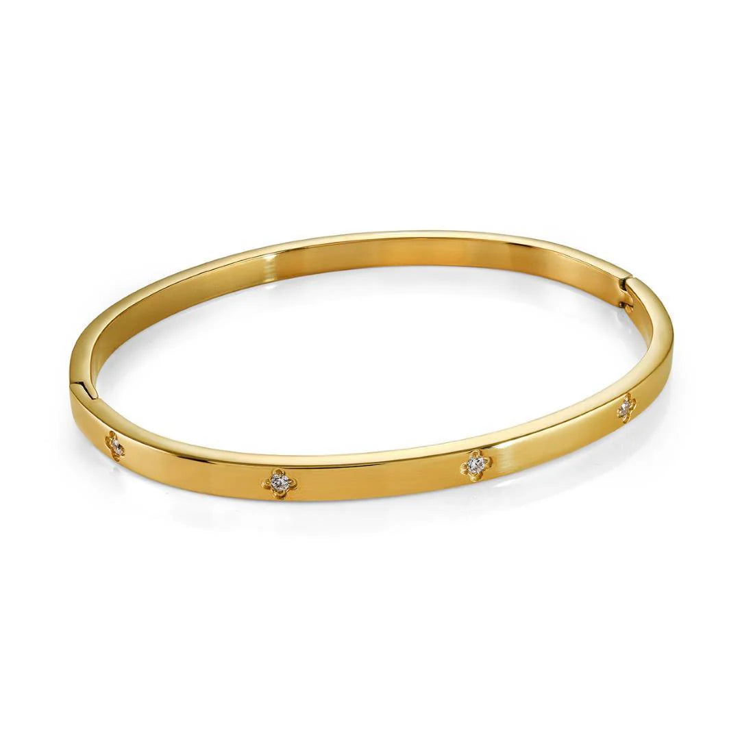 Veloria Stainless Steel 4mm mini CZ Clover Bangle