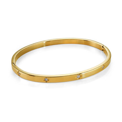 Veloria Stainless Steel 4mm mini CZ Clover Bangle