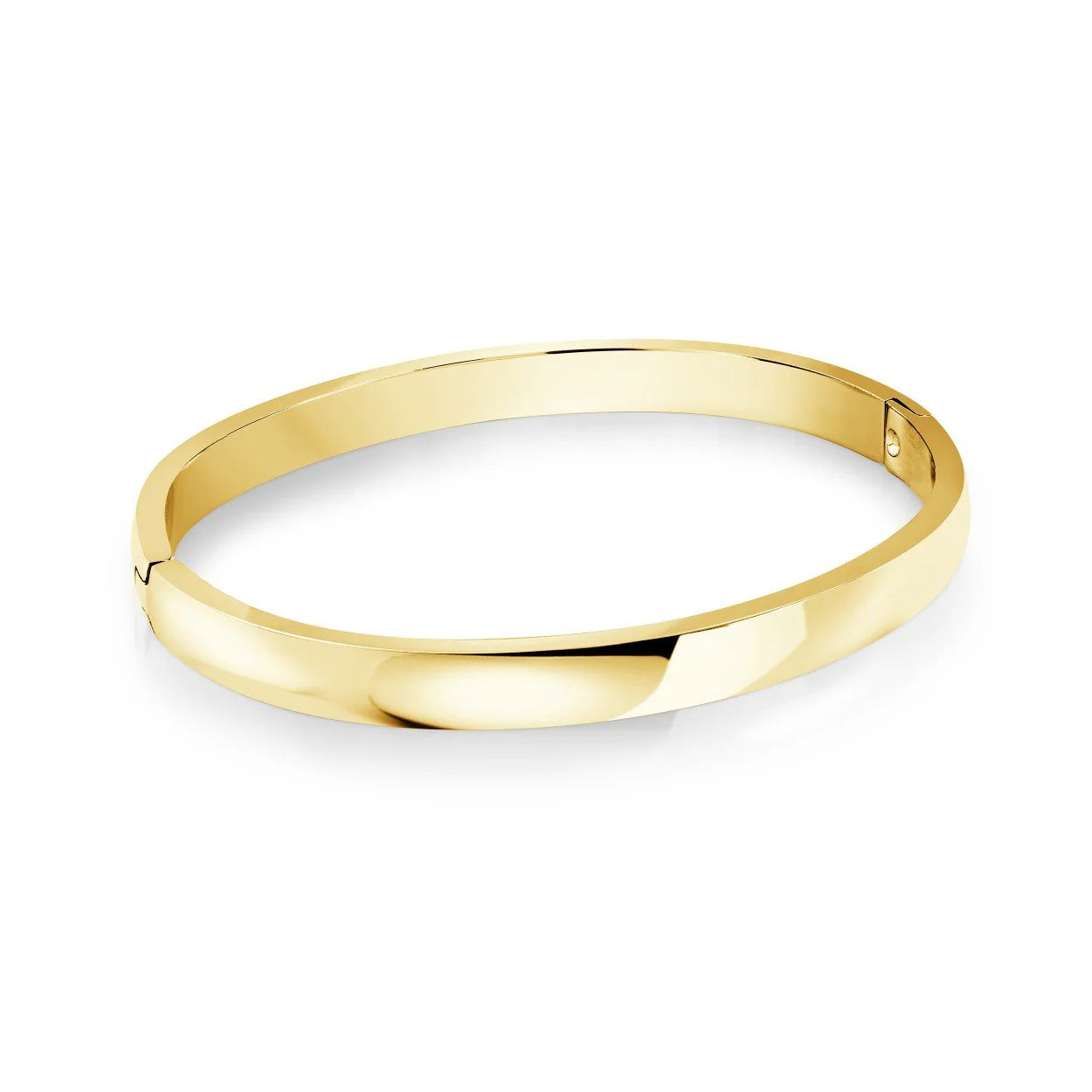 Veloria Stainless Steel 6mm Curved Bangle