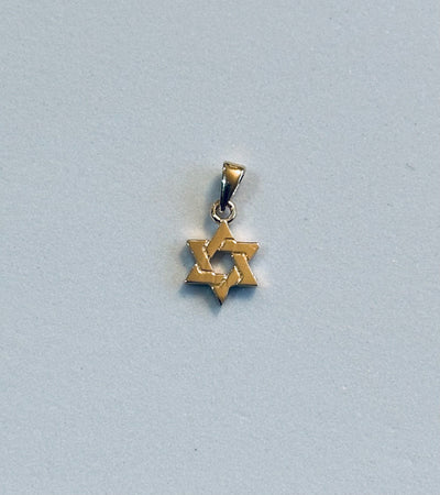 The Perfect 10kt gold Mini Star of David pendant