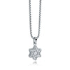 Italgem Matte Polish Star of David Necklace