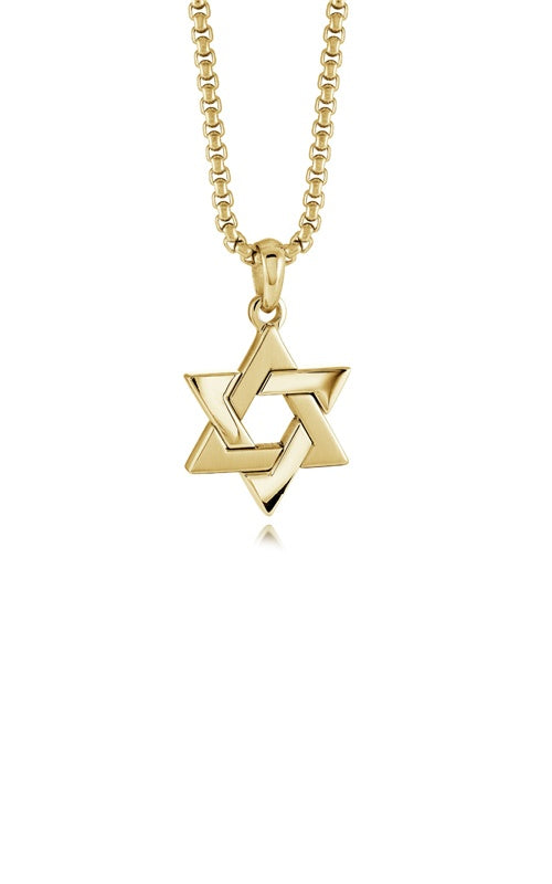 Brushed and Polished Star of David on Chain