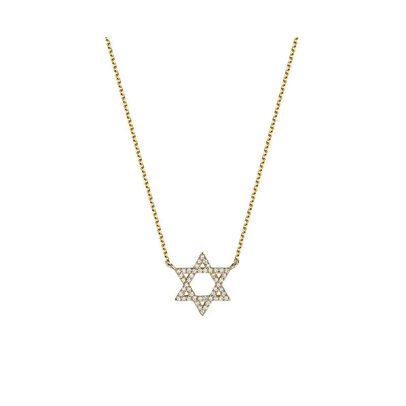 10kt gold small Diamond Star of David Necklace